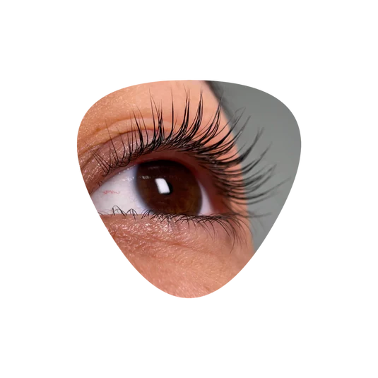 INLEI - Forma + Forma UP NEW Universal Eyelash Shields (4 pairs in a pack)